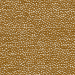 Polka Amber