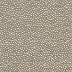 Polka Chino