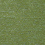 Polka Palmetto