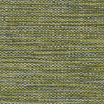 Notion Crypton Upholstery Fabric