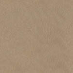Stetson Vinyl Upholstery Fabric for Healthcare