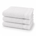 Ambassador Terry Washcloth, 9151216
