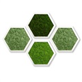 Moss Art