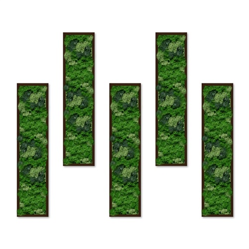 Moss Art