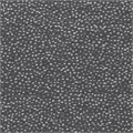 Polka Crypton Plush Upholstery